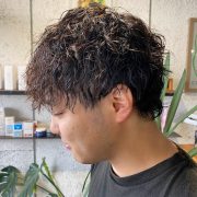 マッシュウルフ×ツイスパ